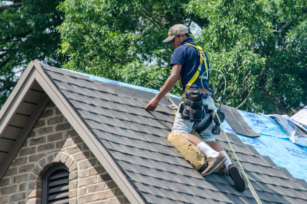 Best Residential Roofing Contractor  in Oak Park, IL